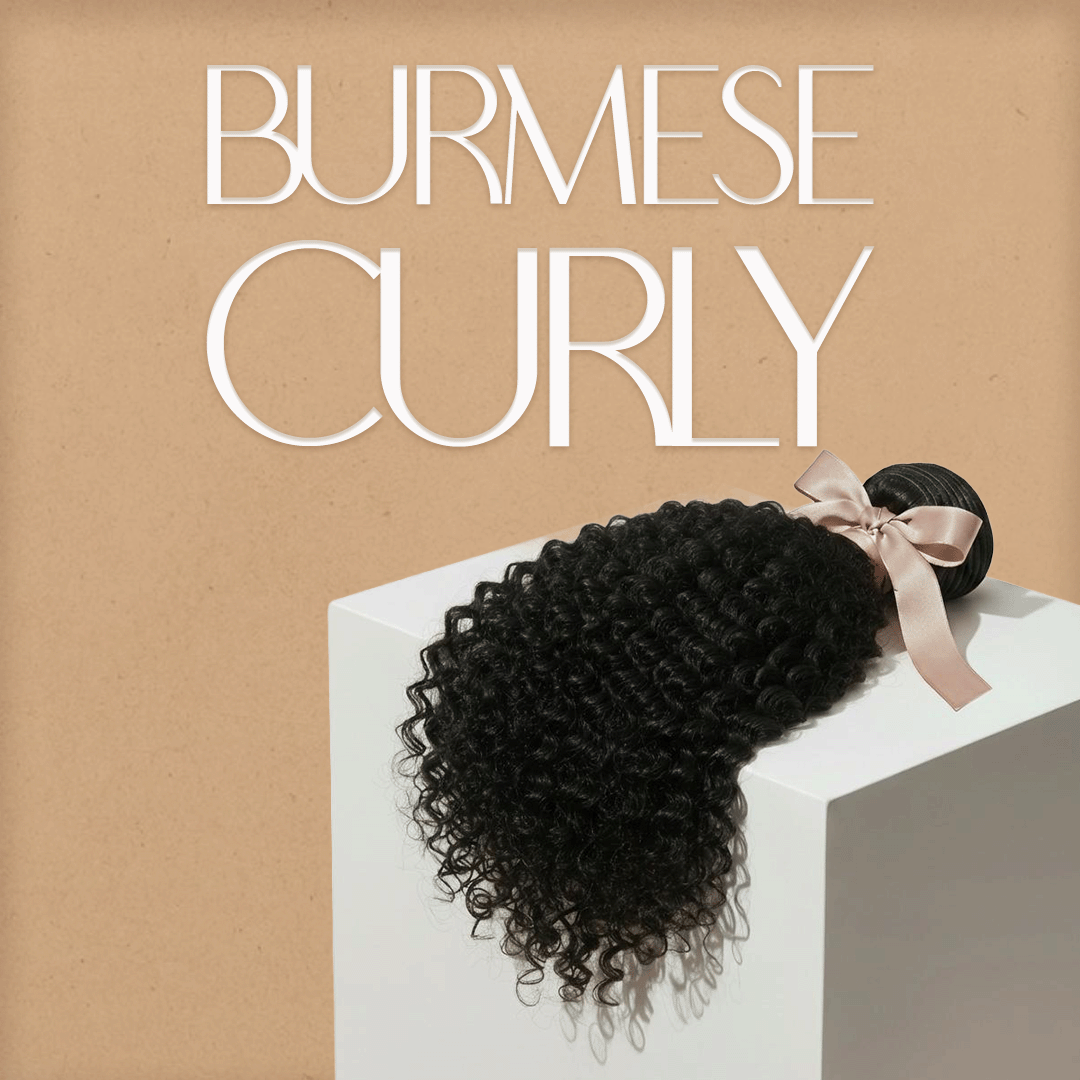 Burmese Curly